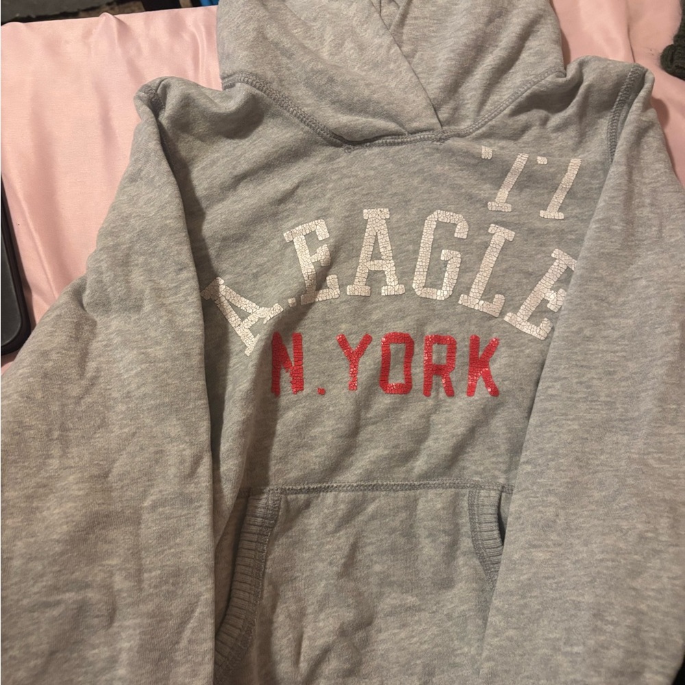 American Eagle Outfitters Gray Hoodie
